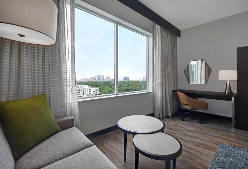 스위트 킹사이즈 침대, Holiday Inn Express Houston Galleria Area By Ihg