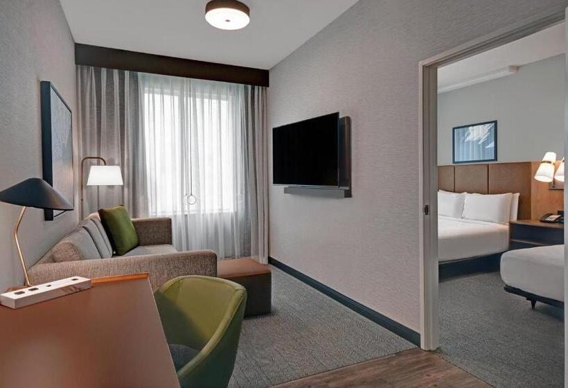 Номер Стандарт, Holiday Inn Express Houston   Galleria Area By Ihg