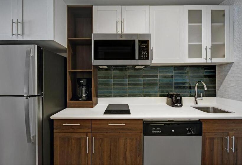 스탠다드 룸, Holiday Inn Express Houston Galleria Area By Ihg