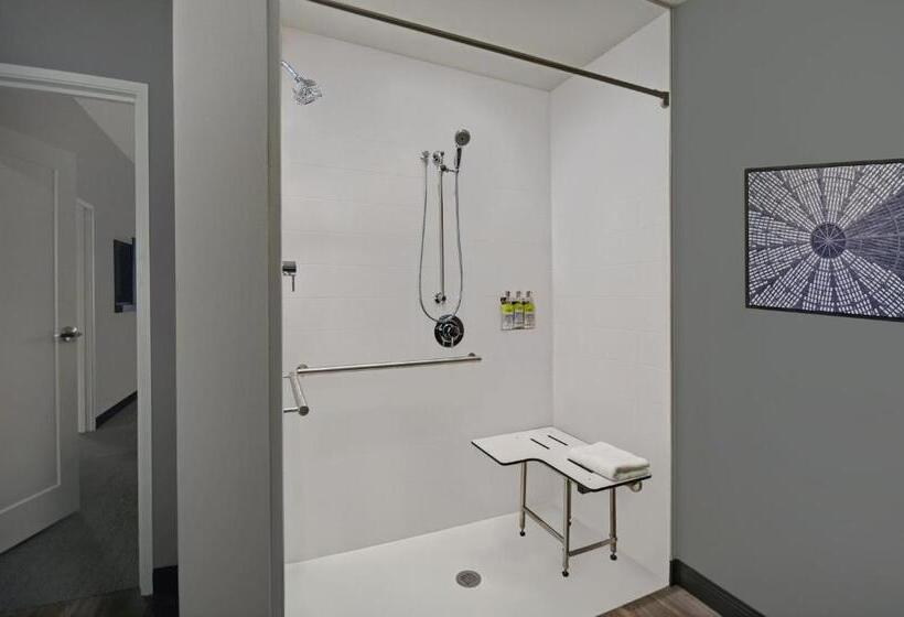 장애인을 위한 스탠다드 룸, Holiday Inn Express Houston Galleria Area By Ihg