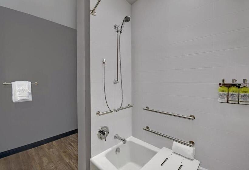 适合残疾人使用的标准间, Holiday Inn Express Houston Galleria Area By Ihg