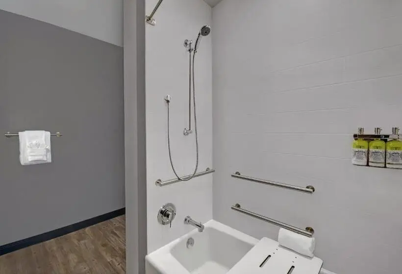 身障者適用スタンダードルーム, Holiday Inn Express Houston Galleria Area By Ihg