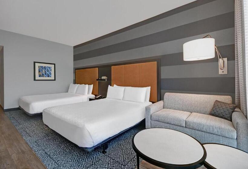 장애인을 위한 스탠다드 룸, Holiday Inn Express Houston Galleria Area By Ihg