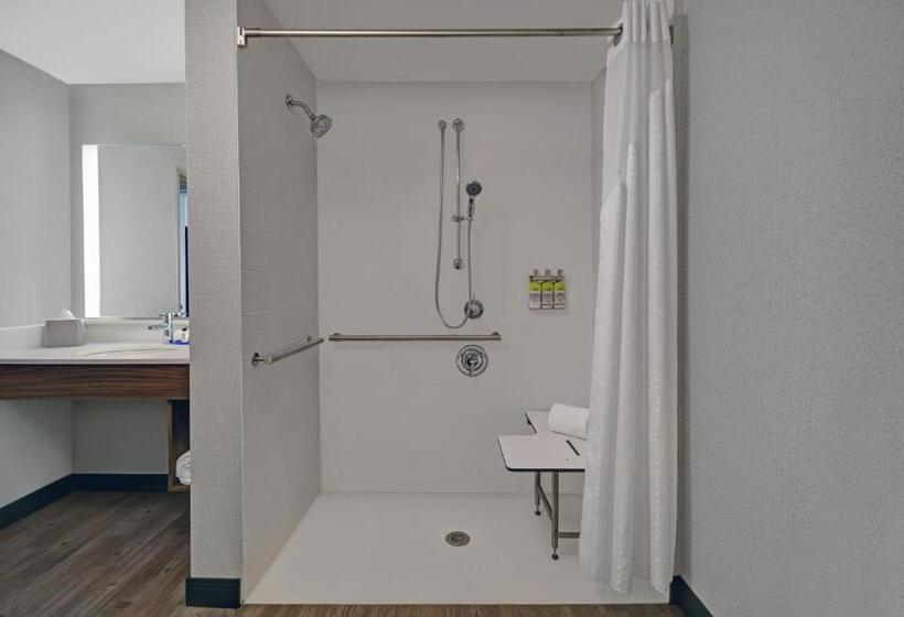 适合残疾人使用的标准间, Holiday Inn Express Houston Galleria Area By Ihg