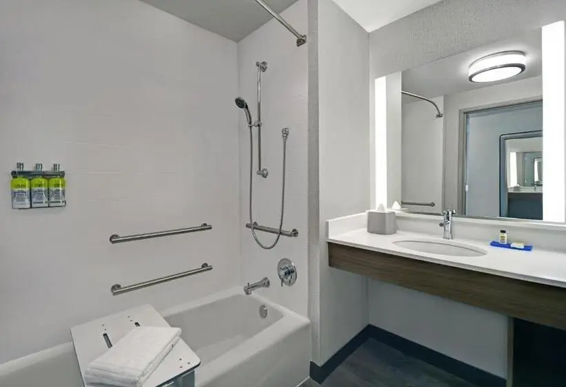 身障者適用スタンダードルーム, Holiday Inn Express Houston Galleria Area By Ihg