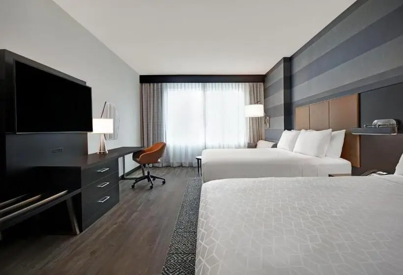 身障者適用スタンダードルーム, Holiday Inn Express Houston Galleria Area By Ihg