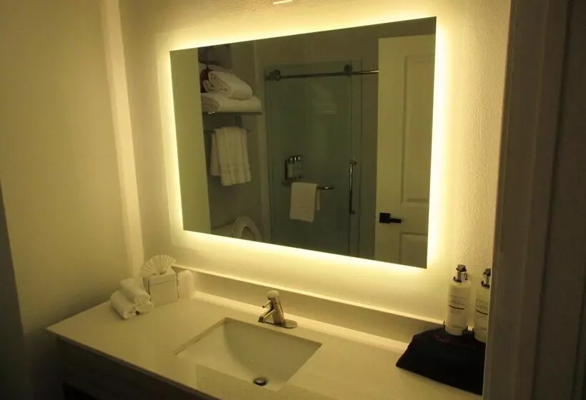 スイート, Holiday Inn Express Hotel & Suites Houston Downtown Convention Center, An Ihg