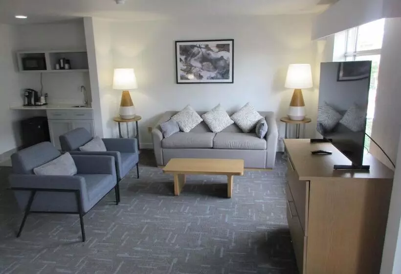 スイート, Holiday Inn Express Hotel & Suites Houston Downtown Convention Center, An Ihg