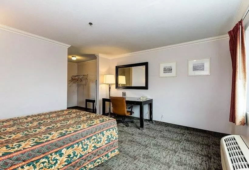 デラックスルーム, Buena Vista Inn