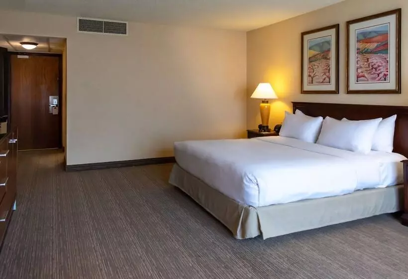 اتاق کلاب, Doubletree By Hilton San Jose