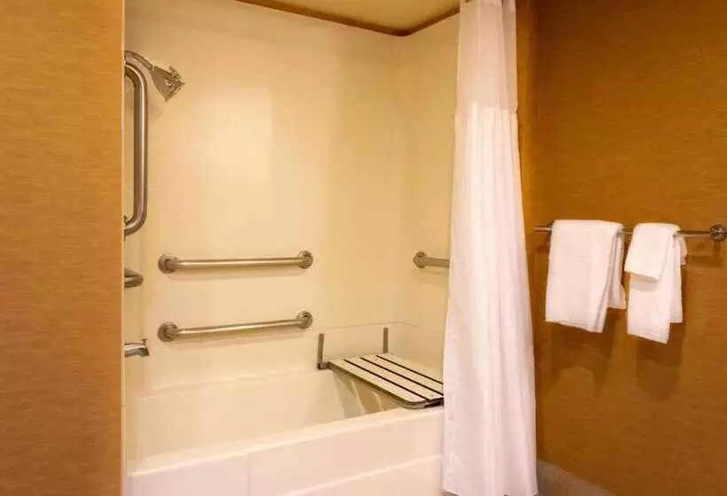 اتاق استاندارد برای معلولان, Doubletree By Hilton San Jose