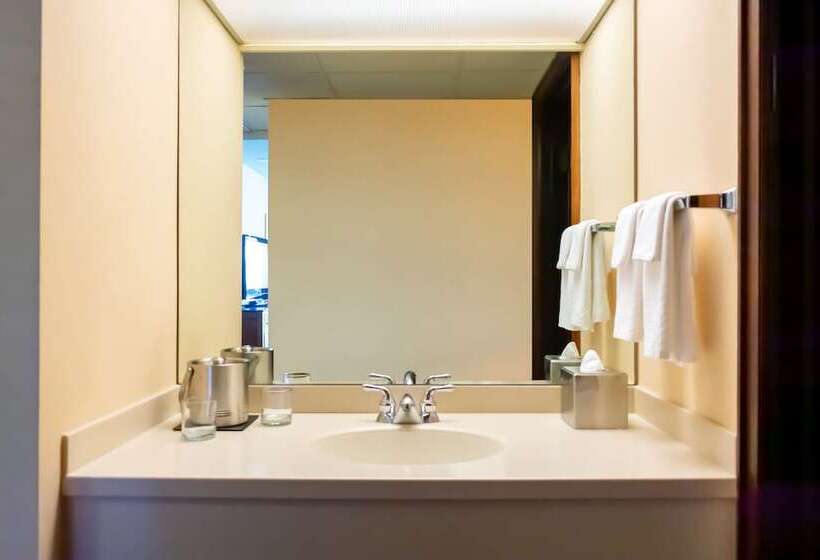 Номер Стандарт Адаптированный для Инвалидов, Doubletree By Hilton San Jose