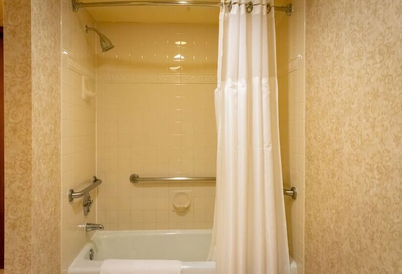 غرفة قياسية لذوى الاحتياجات الخاصة, Doubletree By Hilton San Jose