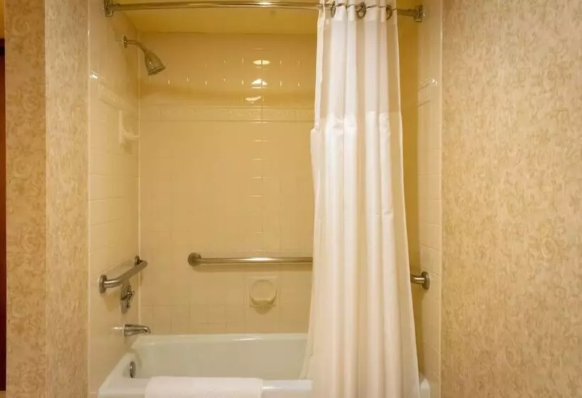 اتاق استاندارد برای معلولان, Doubletree By Hilton San Jose