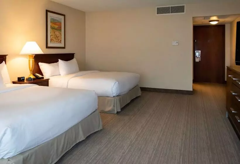 اتاق استاندارد با 2 تخت دوبل, Doubletree By Hilton San Jose