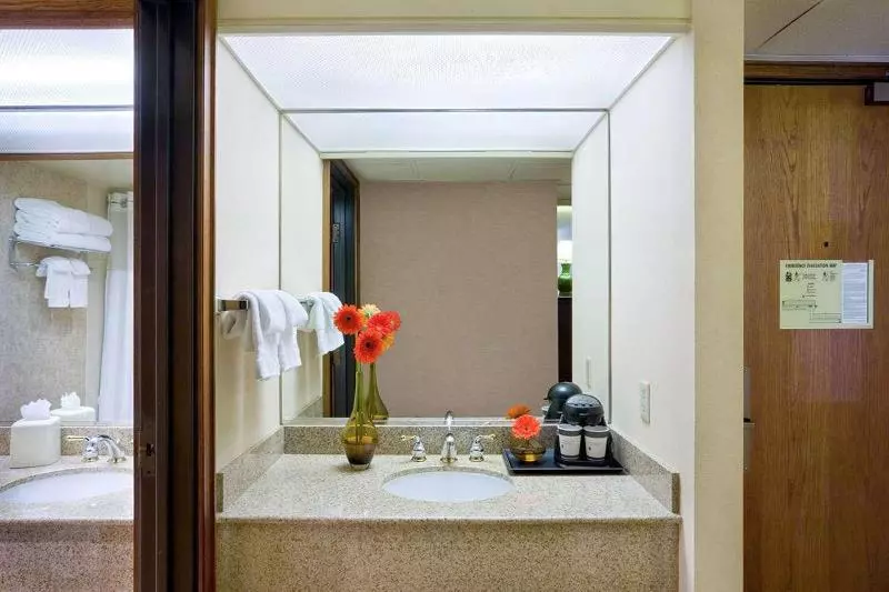 اتاق سوپریور با تخت بزرگ, Doubletree By Hilton San Jose