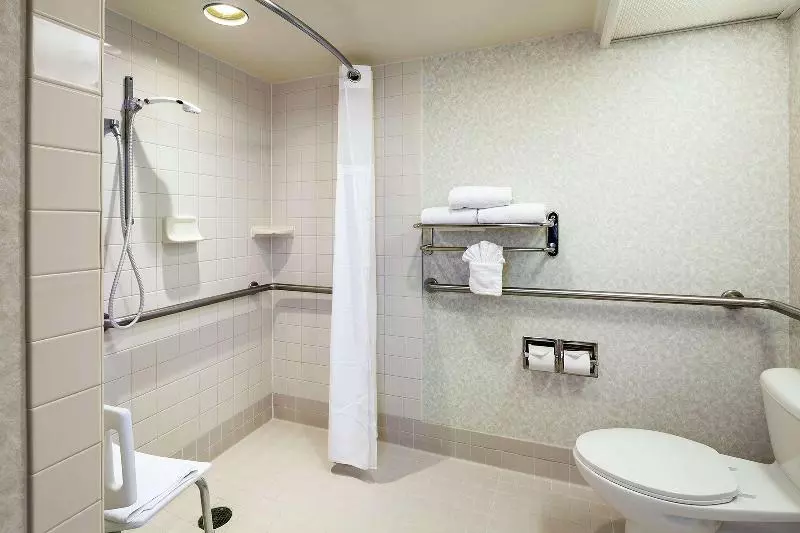 اتاق استاندارد با تخت بزرگ, Doubletree By Hilton San Jose