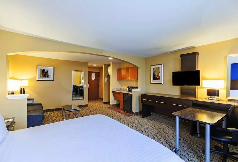 スイート, Holiday Inn Express Hotel & Suites Houston Downtown Convention Center, An Ihg