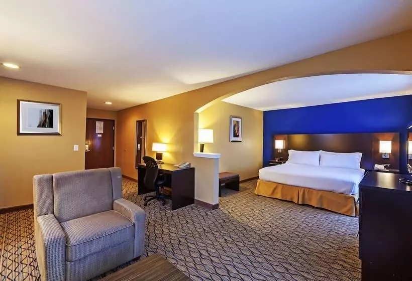 スイート, Holiday Inn Express Hotel & Suites Houston Downtown Convention Center, An Ihg