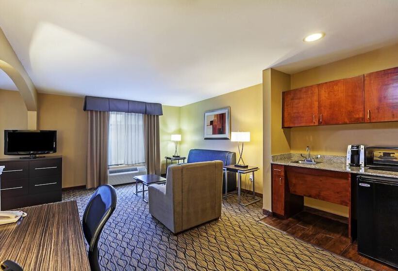 スイート, Holiday Inn Express Hotel & Suites Houston Downtown Convention Center, An Ihg