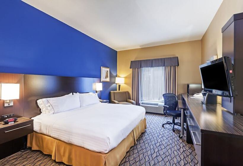 Chambre Standard, Holiday Inn Express Hotel & Suites Houston Downtown Convention Center, An Ihg