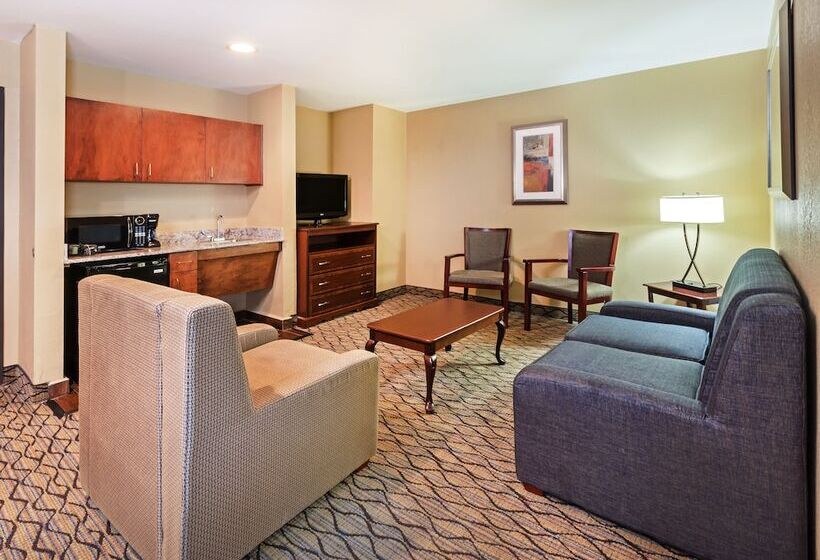 スイート, Holiday Inn Express Hotel & Suites Houston Downtown Convention Center, An Ihg