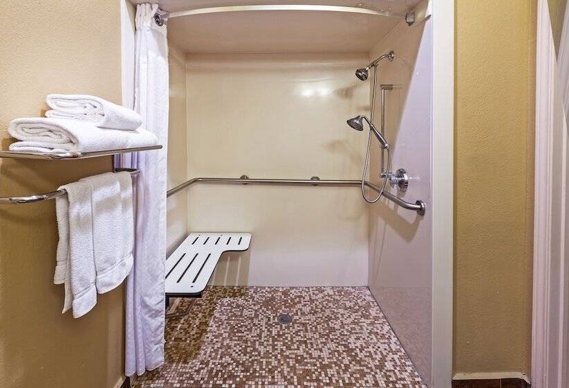 适合残疾人士使用的套间, Holiday Inn Express Hotel & Suites Houston Downtown Convention Center, An Ihg