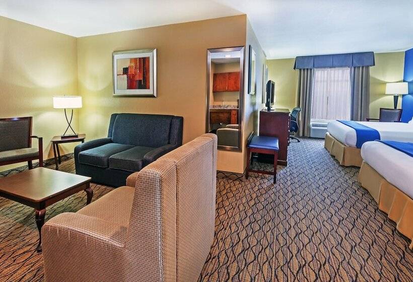 适合残疾人士使用的套间, Holiday Inn Express Hotel & Suites Houston Downtown Convention Center, An Ihg