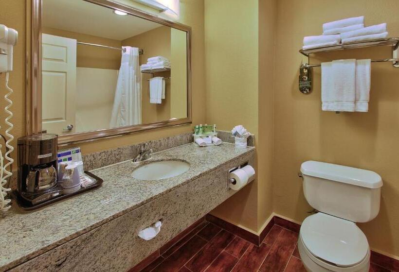 标准间, Holiday Inn Express Hotel & Suites Houston Downtown Convention Center, An Ihg