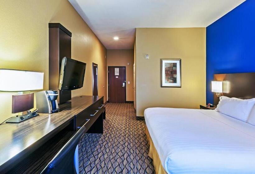Chambre Standard Lit King Size, Holiday Inn Express Hotel & Suites Houston Downtown Convention Center, An Ihg