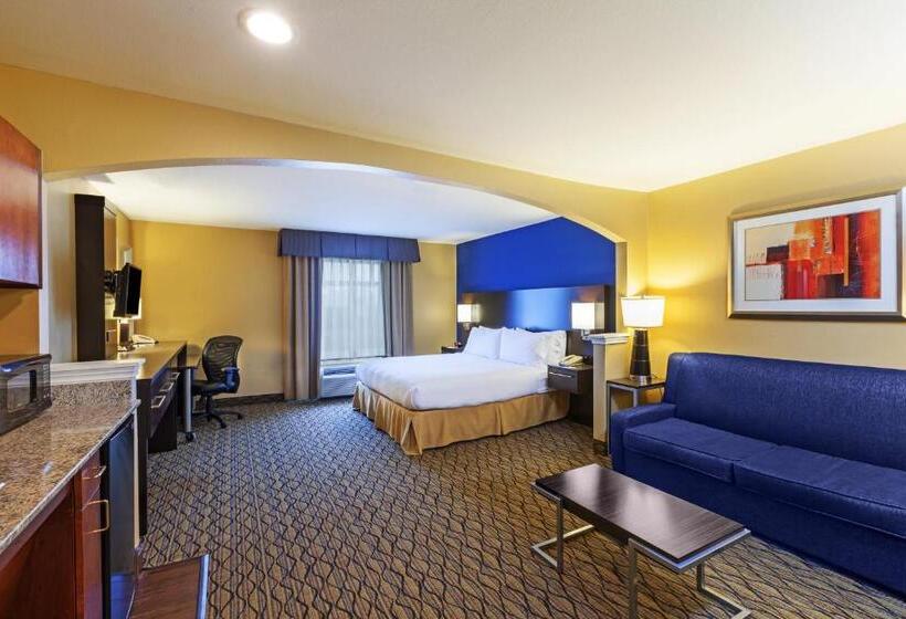 带大床的套房, Holiday Inn Express Hotel & Suites Houston Downtown Convention Center, An Ihg