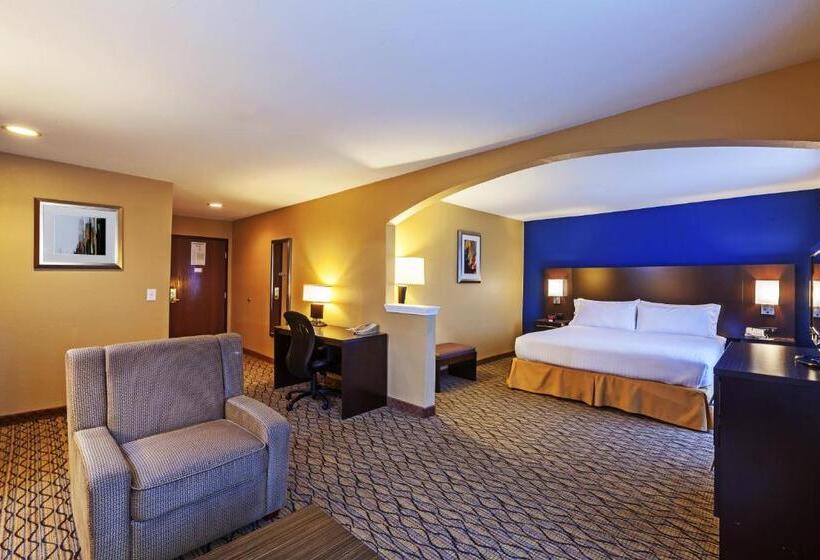 小型套房, Holiday Inn Express Hotel & Suites Houston Downtown Convention Center, An Ihg