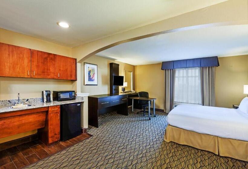 Junior Suite, Holiday Inn Express Hotel & Suites Houston Downtown Convention Center, An Ihg