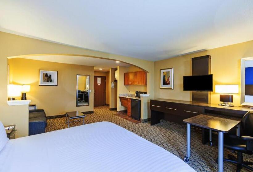 小型套房, Holiday Inn Express Hotel & Suites Houston Downtown Convention Center, An Ihg