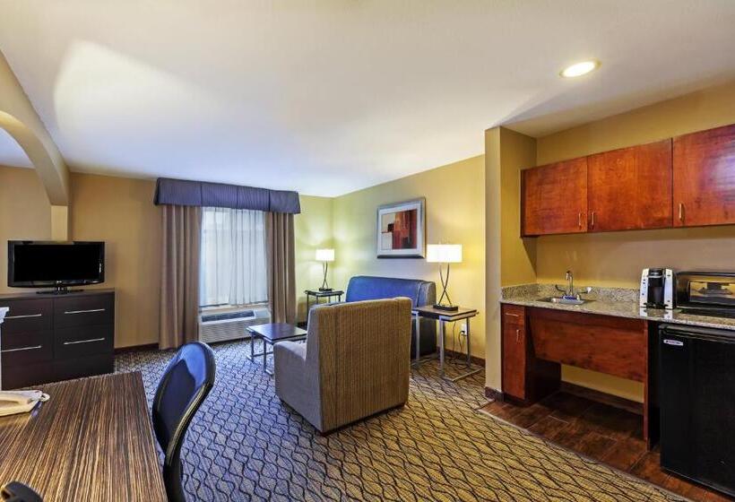 小型套房, Holiday Inn Express Hotel & Suites Houston Downtown Convention Center, An Ihg