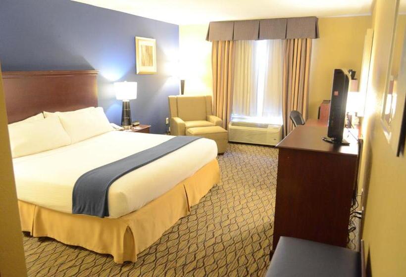 Chambre Standard Lit King Size Adaptée aux Personnes à Mobilité Réduite, Holiday Inn Express Hotel & Suites Houston Downtown Convention Center, An Ihg