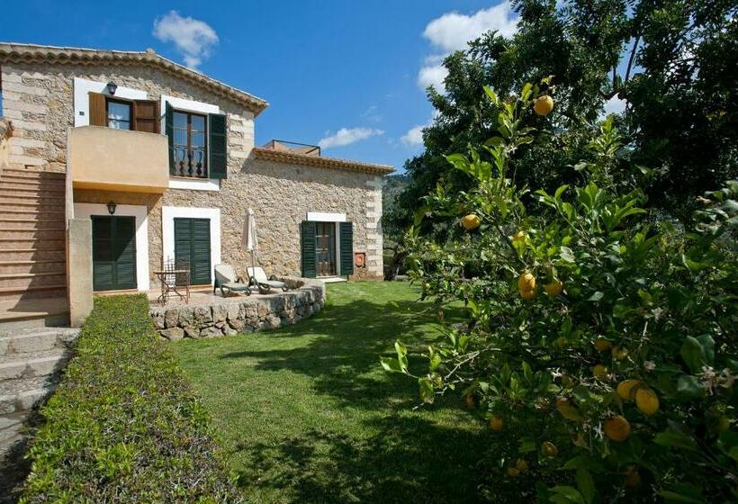 ジュニアスイート, Finca Binibona Parc Natural