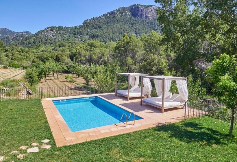 プール付き1ベッドルームヴィラ, Finca Binibona Parc Natural
