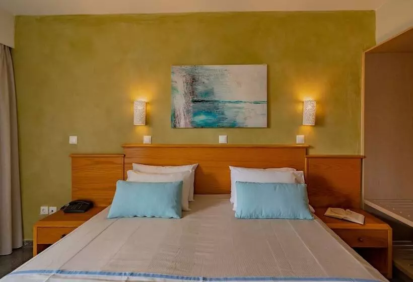 Chambre Standard Individuelle, Minos