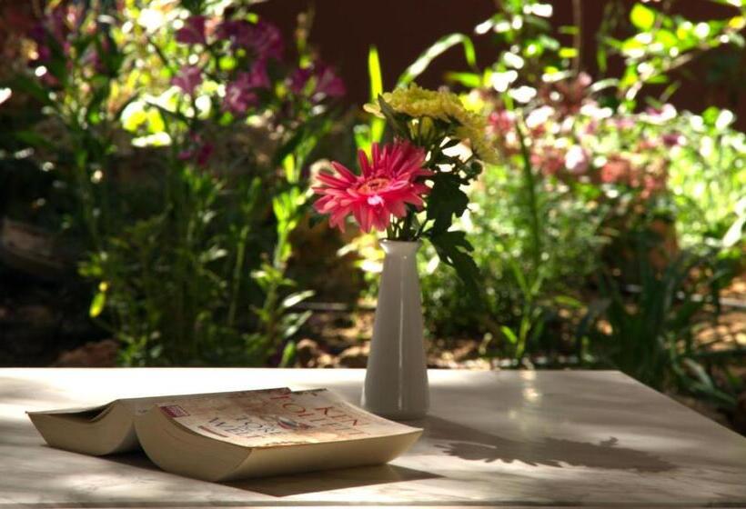 수피리어 주니어 스위트, Minos