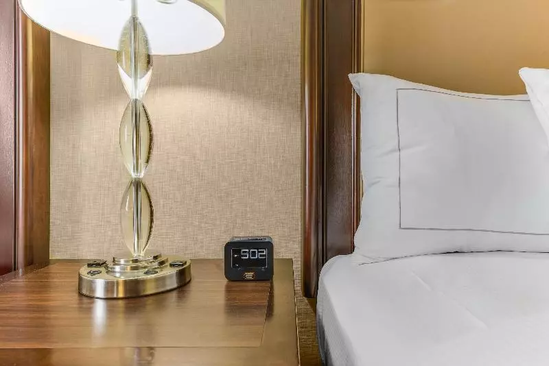 シングルデラックスルーム, New York New York Hotel & Casino