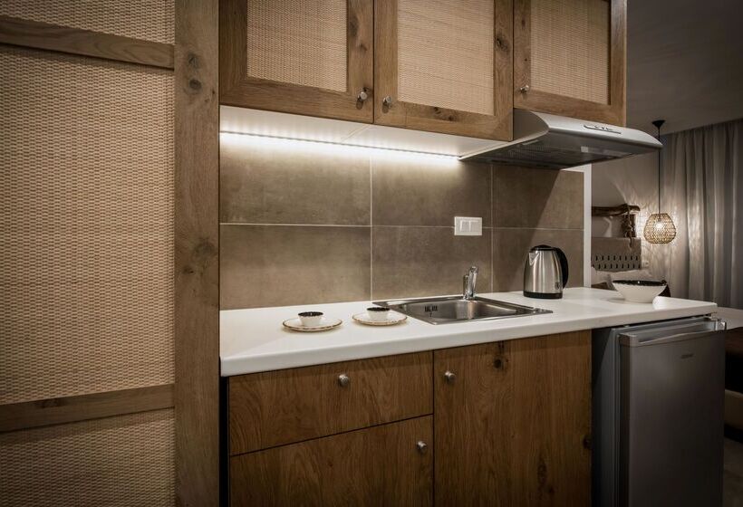 １ベッドルームアパートメント, Troulis Apart