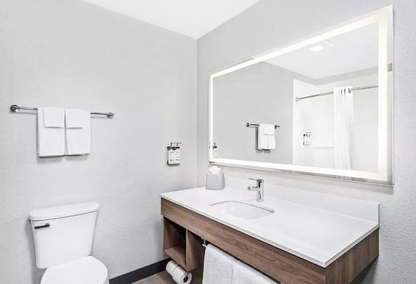 Standard-huone, Holiday Inn Express Hotel & Suites Chicago Algonquin, An Ihg