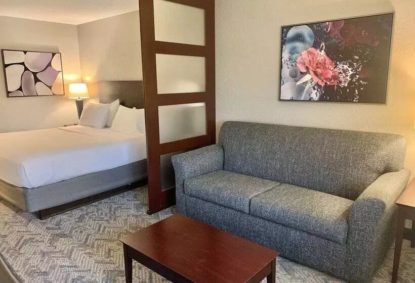 スイート, Best Western Oswego