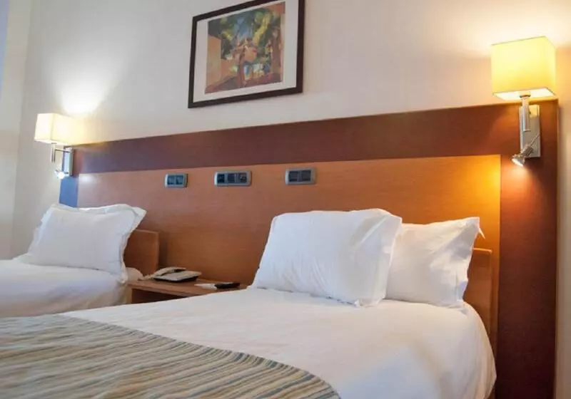 スタンダードルーム, Sercotel Playa Canteras