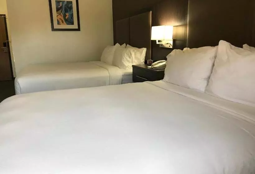 اتاق استاندارد, Holiday Inn Express Hotel & Suites Barstow Outlet Center By Ihg