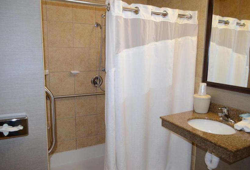 جناح, Holiday Inn Express Hotel & Suites Barstow Outlet Center By Ihg