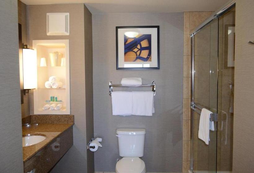 جناح سرير كينج, Holiday Inn Express Hotel & Suites Barstow Outlet Center By Ihg