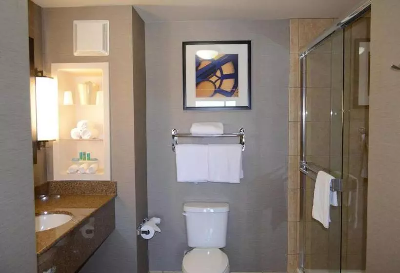 سوئیت با تخت بزرگ, Holiday Inn Express Hotel & Suites Barstow Outlet Center By Ihg