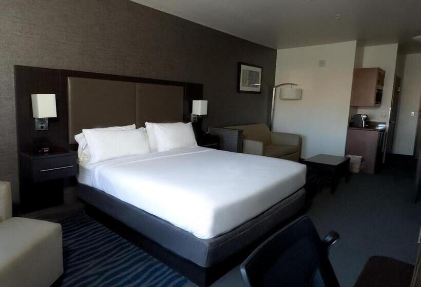جناح سرير كينج, Holiday Inn Express Hotel & Suites Barstow Outlet Center By Ihg